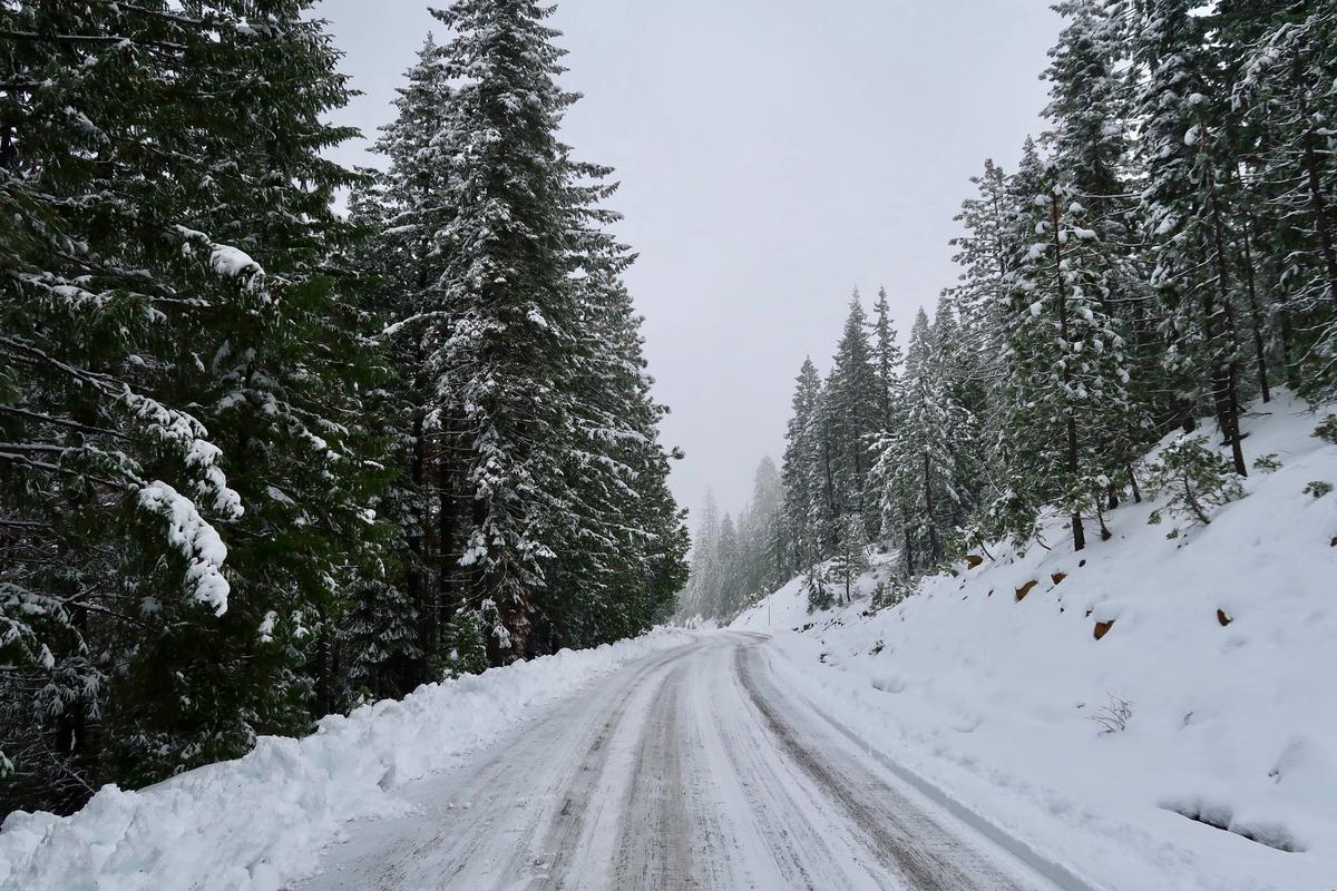 A picture of a Tesla car driving on a snowy road